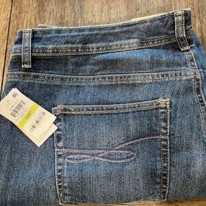 Style & Co Plus Petite Jeans